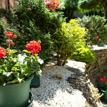 Cecey Vendeghaz Bed and Breakfast Έγκερ