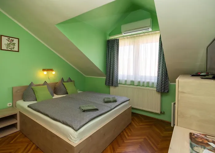 Cecey Vendeghaz Frühstückspension 3*