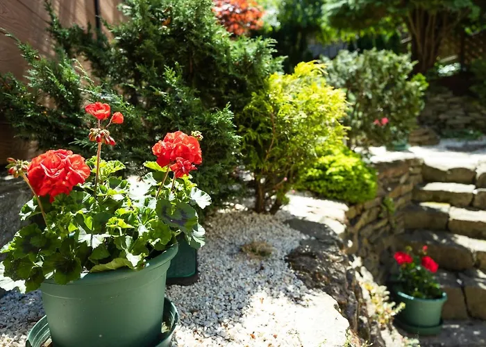 Cecey Vendeghaz Frühstückspension Erlau